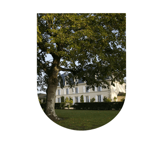 Château Guiraud